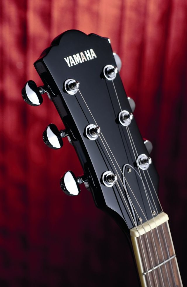 Yamaha SA503 TVL Troy Van Leeuwen signature Kidney button Grover tuners are featured.